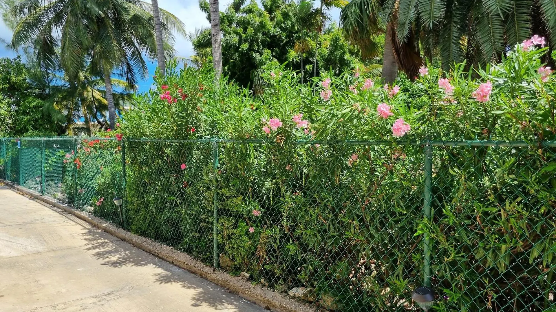 דירה קרייסט צ'רץ' Coastal View Apt #1 - 2 Bed